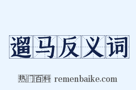 遛马反义词是什么意思的图片
